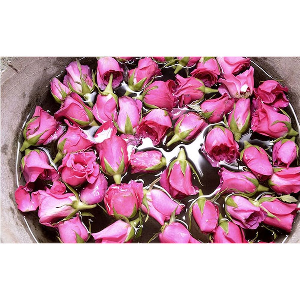 خرید گلاب اصل کاشان